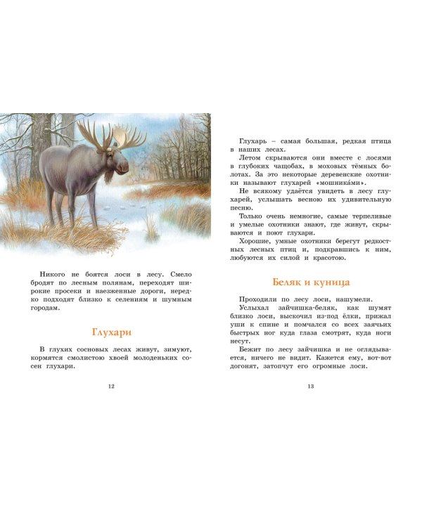 Год в лесу. Рассказы о природе