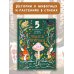 Познавательное чтение в картинках Чудеса природы. Пятиминутные истории для детей