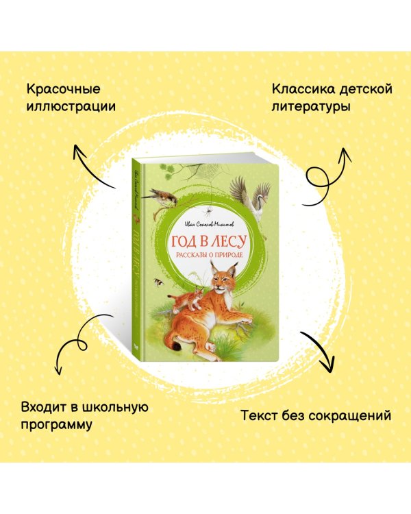 Год в лесу. Рассказы о природе