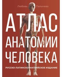 Атлас анатомии человека. Русско-латинско-английское издание