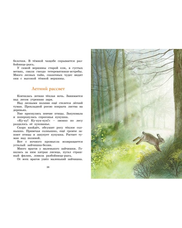 Год в лесу. Рассказы о природе