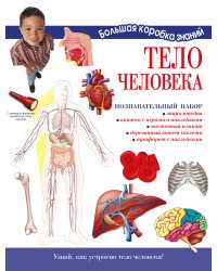 Тело человека. Познавательный набор