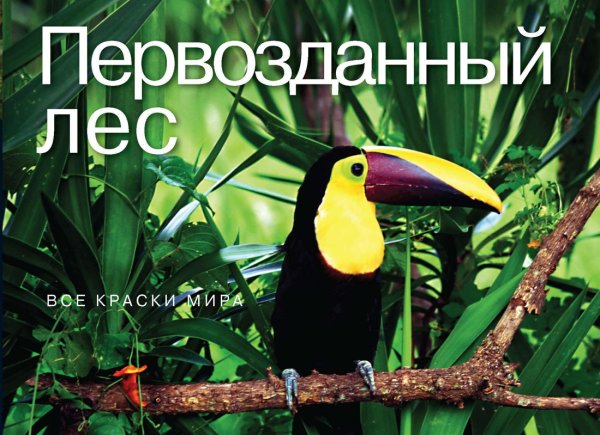 Первозданный лес. Все краски мира Первозданный лес. Все краски мира