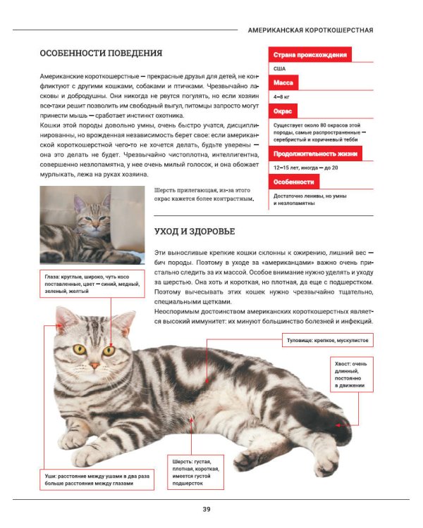 Кошки. Большая визуальная энциклопедия