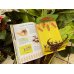 Королевство насекомых. Интерактивная книга с окошками о жизни муравьёв, ос и пчёл
