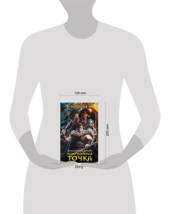 Контрольная точка