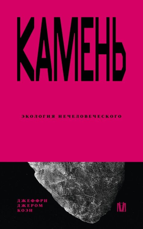 Обложка книги «Камень. Экология нечеловеческого» — Коэн Джеффри Джером, ISBN 9785171597788
