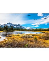 Алмаз мозаика (клас.) 30х40 см, с подр., с полн. заполн.(цв.) Яркая солнечная осень.(Арт. AC34068)