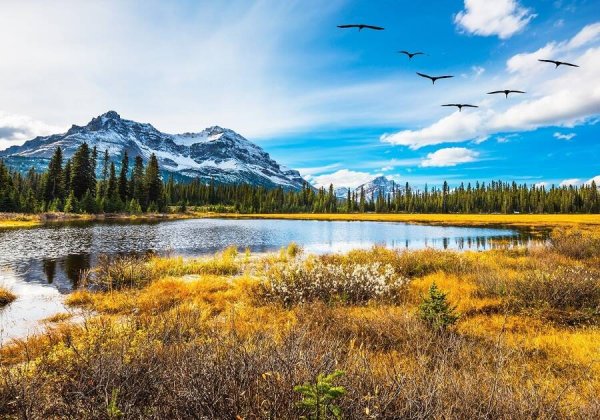 ПЕЙЗАЖ (Рыжий Кот) Алмаз мозаика (клас.) 30х40 см, с подр., с полн. заполн.(цв.) Яркая солнечная осень.(Арт. AC34068)