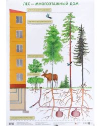 ПЛ Лес — многоэтажный дом