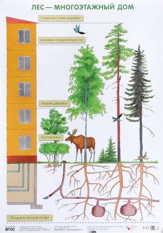 Обложка книги «ПЛ Лес — многоэтажный дом», ISBN 9785431506413