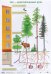 Обложка книги «ПЛ Лес — многоэтажный дом», ISBN 9785431506413