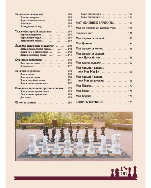 Шахматы. Большая энциклопедия