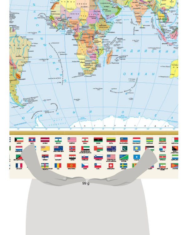 Политическая карта мира с флагами. Федеративное устройство России с флагами А1 (в новых границах)