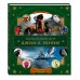 Волшебный мир Роулинг. Часть 2. Фантастические существа