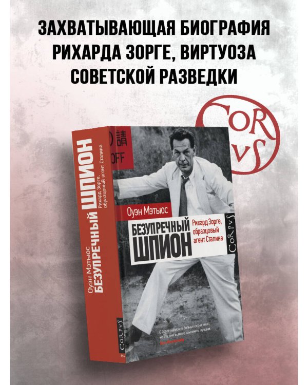 Безупречный шпион