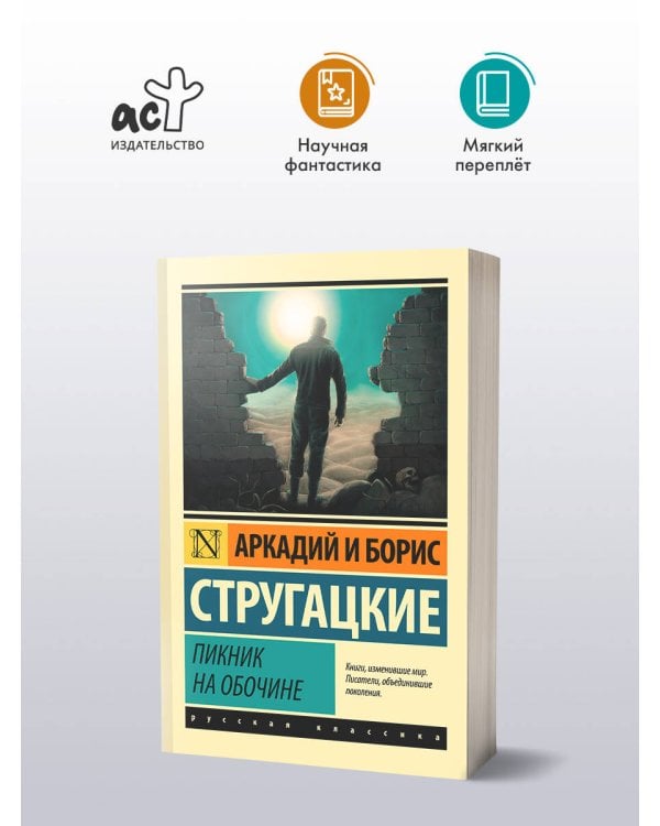 Пикник на обочине