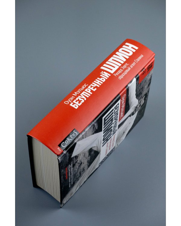 Безупречный шпион