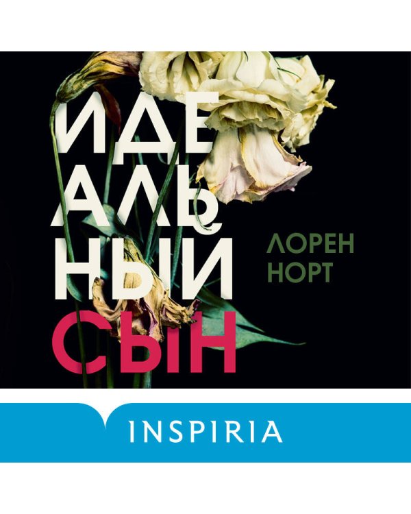 Идеальный сын