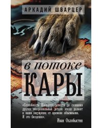 В потоке Кары