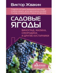Садовые ягоды. Виноград, малина, смородина и другие кустарники