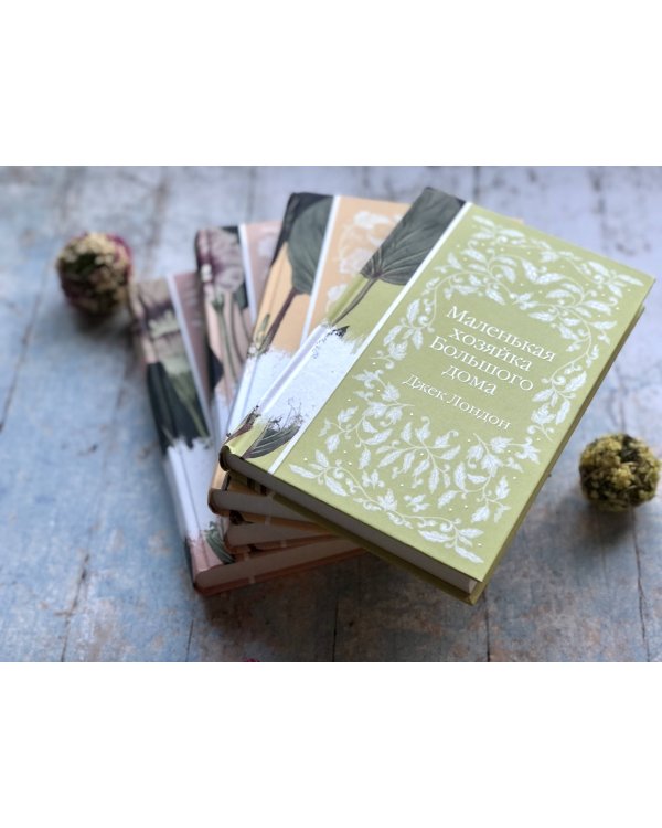 Маленькая хозяйка Большого дома