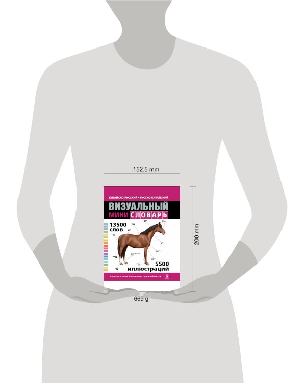 Китайско-русский русско-китайский визуальный мини-словарь