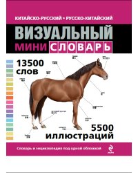 Китайско-русский русско-китайский визуальный мини-словарь