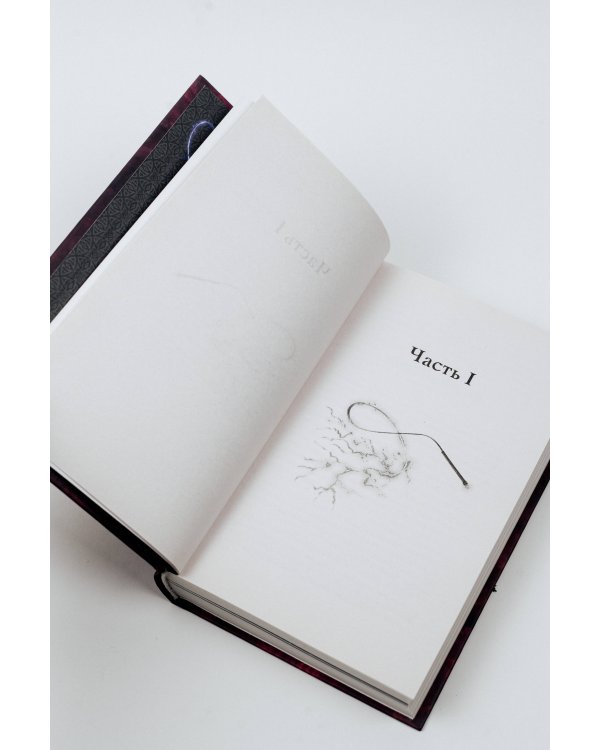 Полуночная ведьма