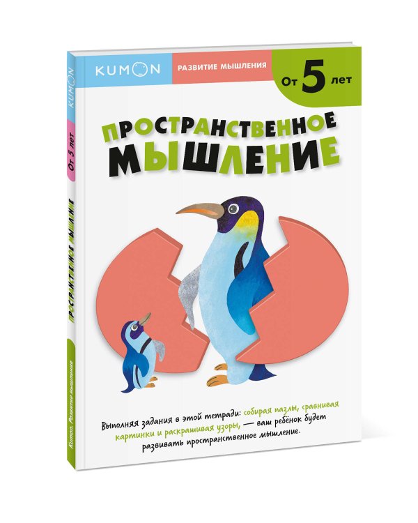 Развитие мышления. Пространственное мышление (от 5 лет)