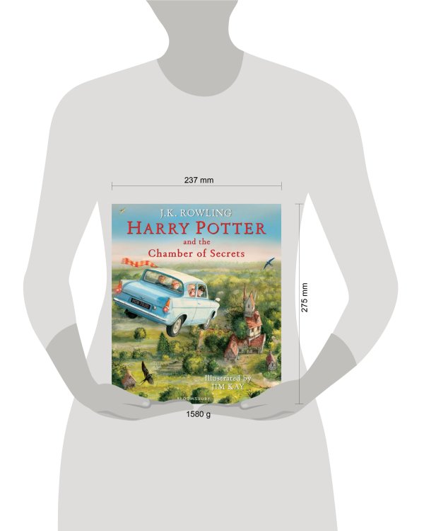 Harry Potter and the Chamber of Secrets Illustrated Edition
