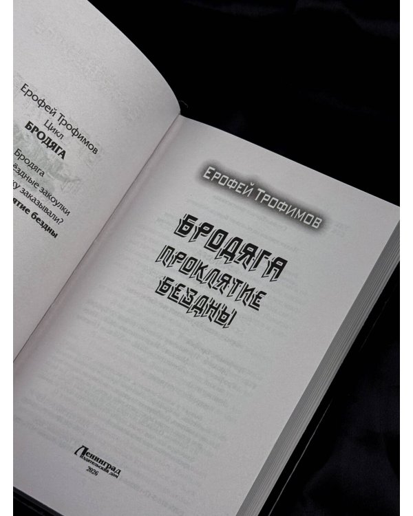 Дополнительное изображение книги «Бродяга. Проклятье бездны»