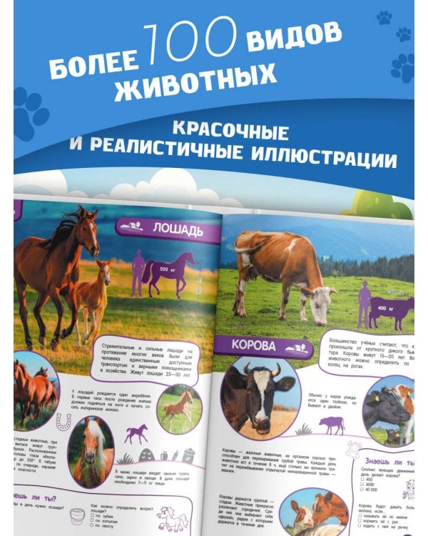 Удивительный мир животных. Энциклопедия для детей