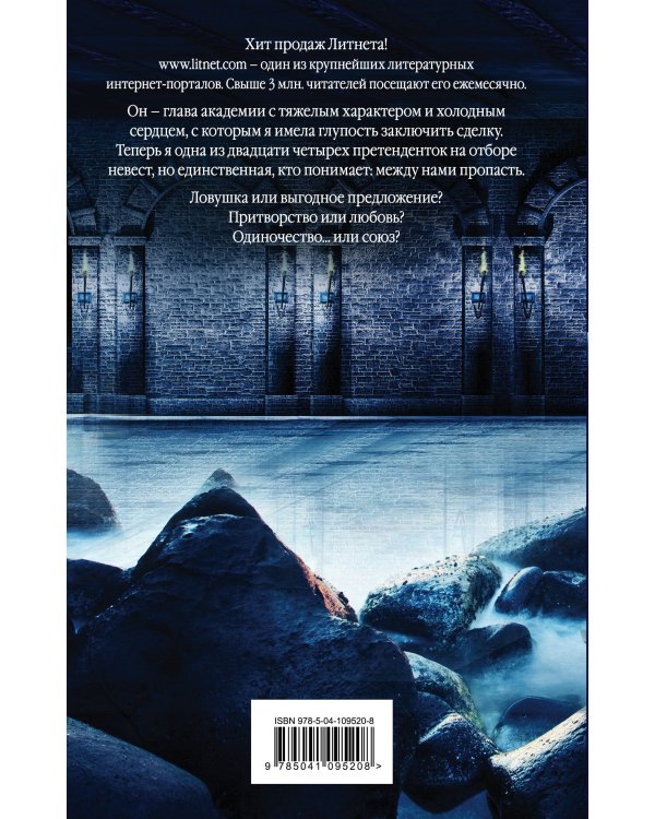 Дополнительное изображение книги «Отбор для ректора академии»
