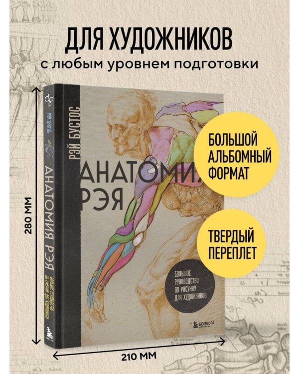 Анатомия Рэя. Большое руководство по рисунку для художников