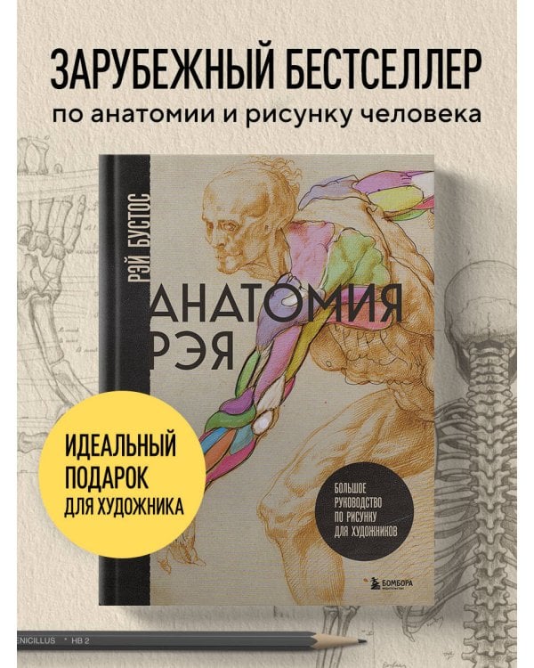 Анатомия Рэя. Большое руководство по рисунку для художников