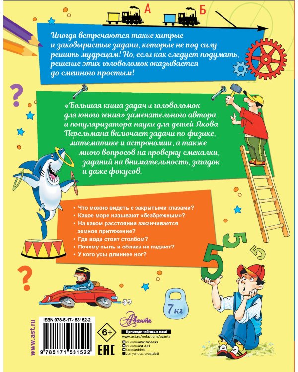 Большая книга задач и головоломок для юного гения