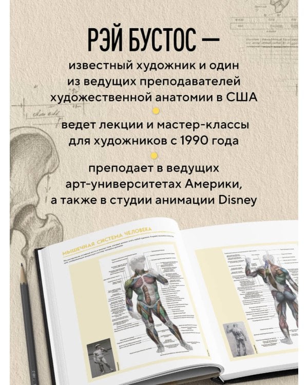 Анатомия Рэя. Большое руководство по рисунку для художников