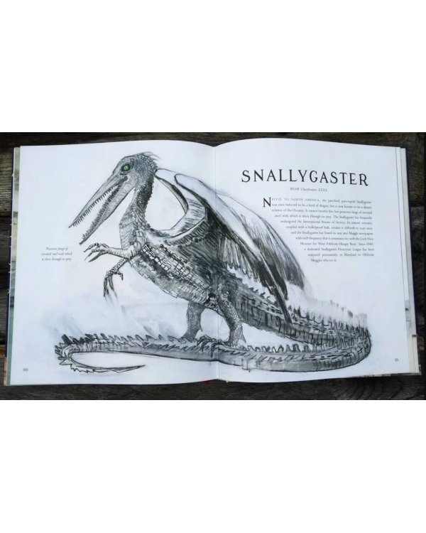 Fantastic Beasts and Where to Find Them Illustrated Edition J.K. Rowling Фантастические твари и где они обитают Д.К. Роулинг/Книги на английском языке