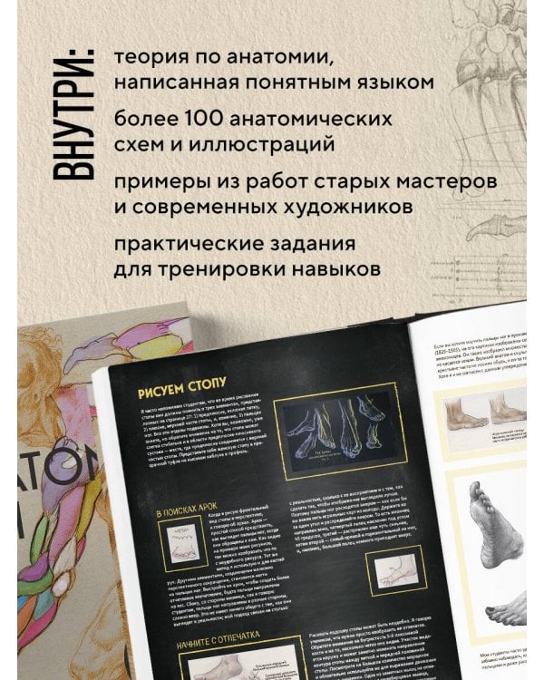 Анатомия Рэя. Большое руководство по рисунку для художников