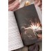 Дополнительное изображение книги «Многогранники. Специальное издание»