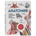 Анатомия: русско-латинский атлас-раскраска (новое оформление, новый формат)