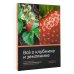 Дачник 2.0 Всё о клубнике и землянике. Семена и саженцы. Лучшие сорта для выращивания. Календарь основных работ