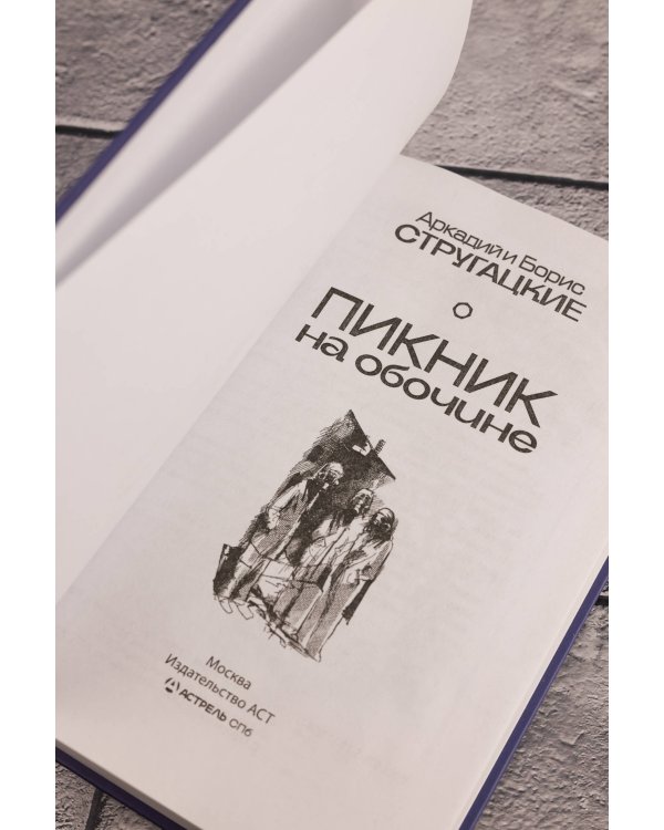 Пикник на обочине