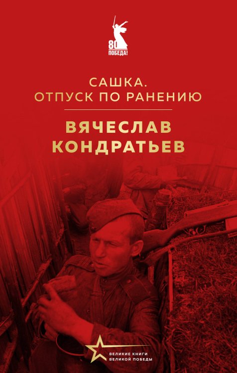 Великие книги Великой Победы Сашка. Отпуск по ранению