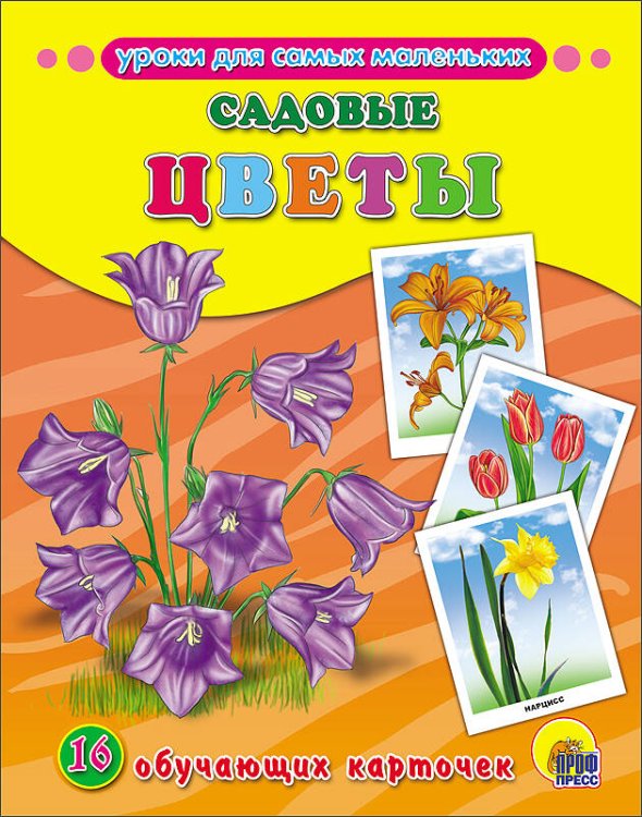 ОБУЧАЮЩИЕ КАРТОЧКИ. САДОВЫЕ ЦВЕТЫ