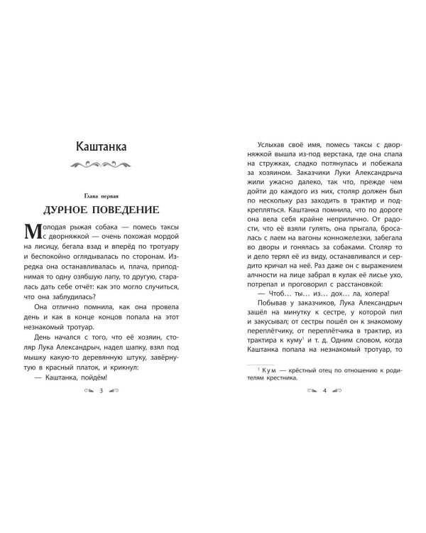 Каштанка. Рассказы