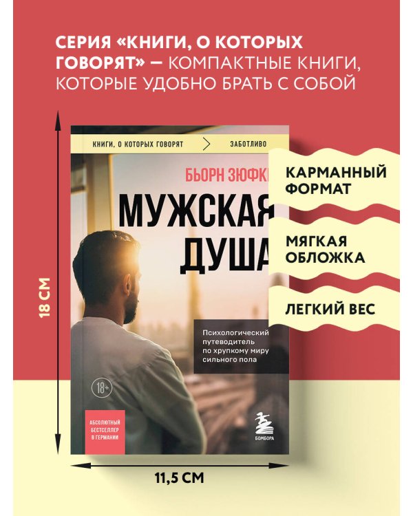 Мужская душа. Психологический путеводитель по хрупкому миру сильного пола