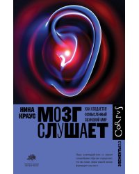 Мозг слушает