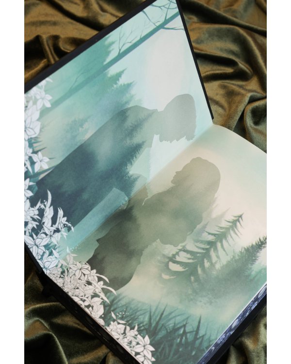 Сумерки (подарочное издание)